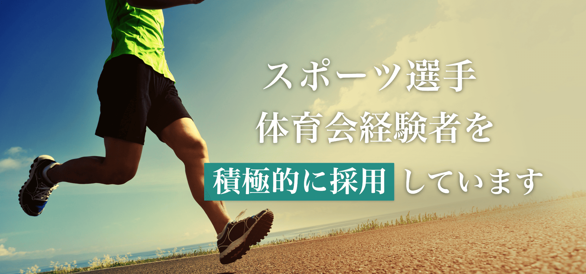 採用情報