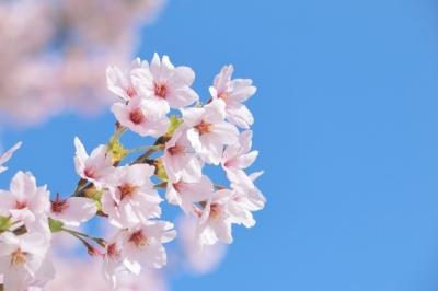 創立35周年を迎えて