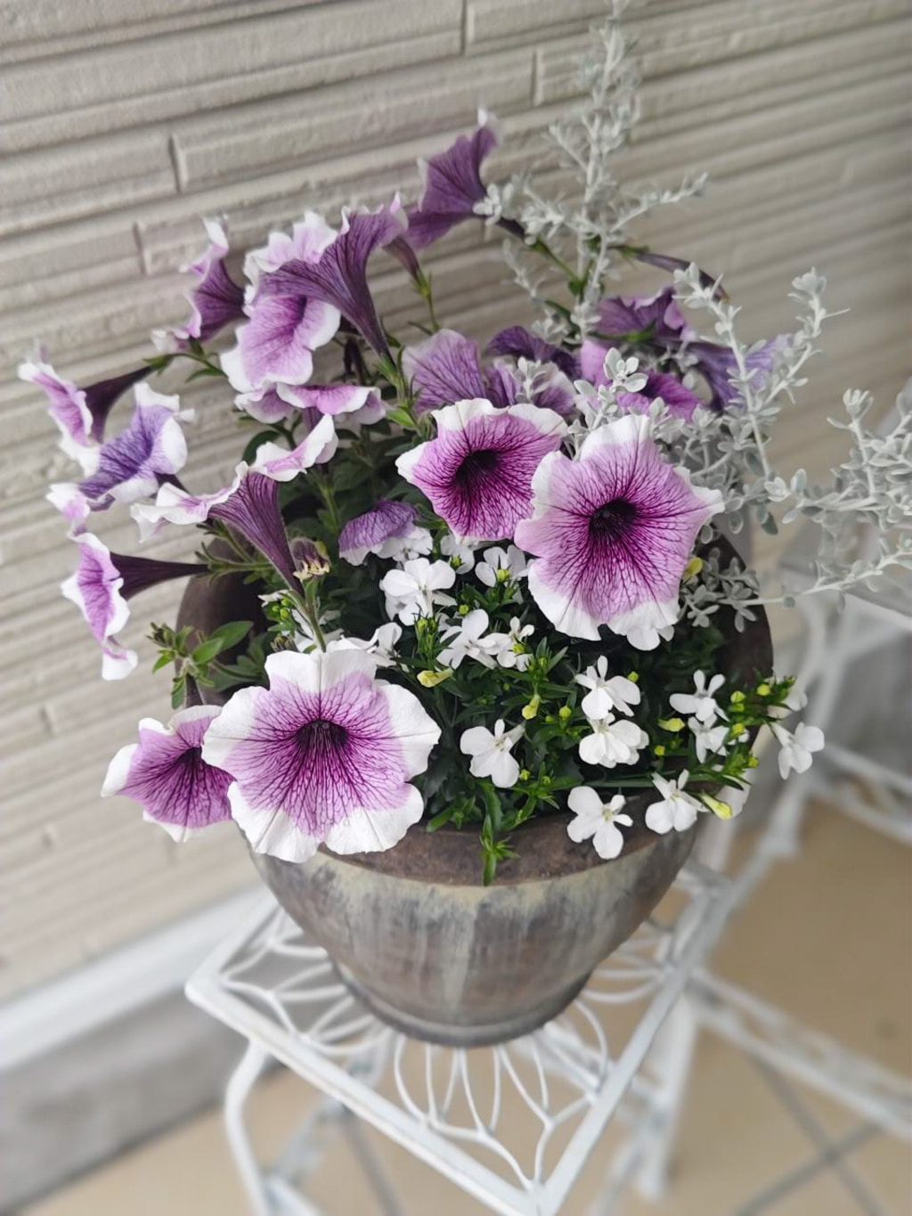 季節のお花