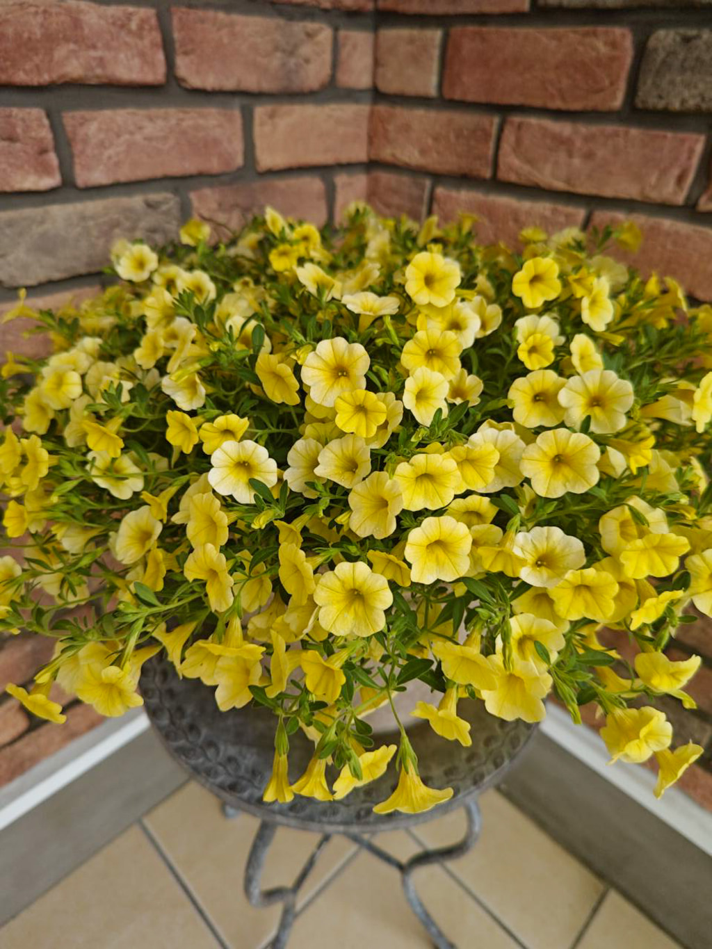 季節のお花
