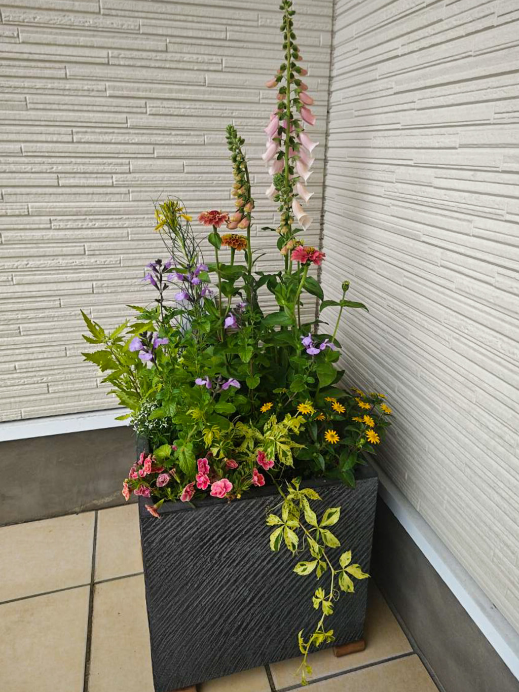 季節のお花