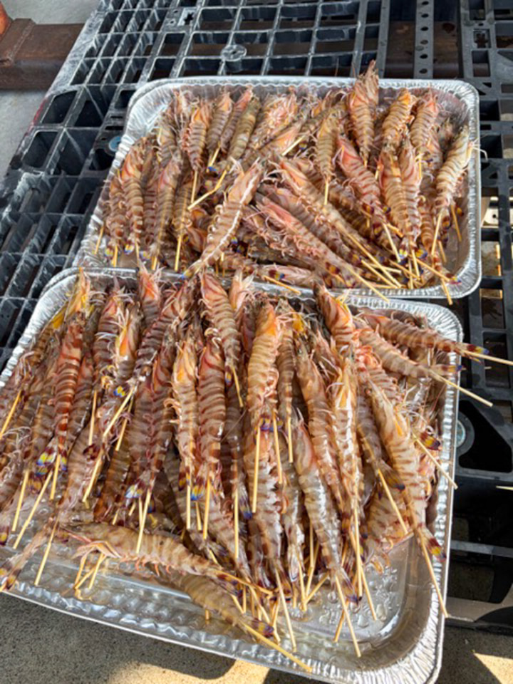 お花見準備の様子